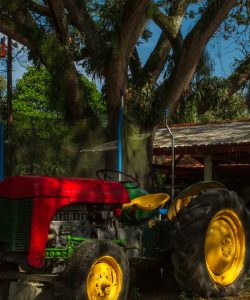 MOLINO_VIEJO_ALTA-112